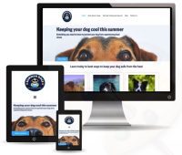 Summer dogs - Portfolio web design