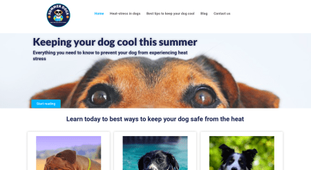 Summerdoggo.com - TJs Creative Edge web design
